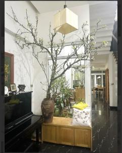 NHÀ ĐẸP VỊ TRÍ TRUNG TÂM QUẬN 9
